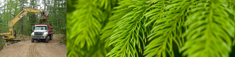 images/slides/slide01.jpg